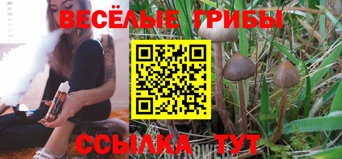 Псилоцибиновые грибы прущие грибы Подольск
