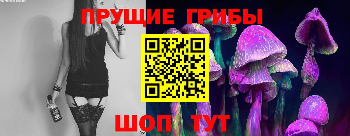 Подольск  Галлюциногенные грибы Cubensis  Вход с VPN 